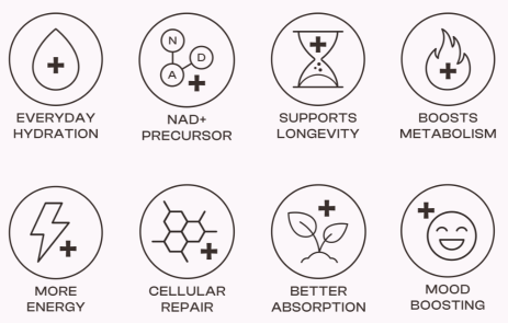 Odv Daily NAD⁺ Complex